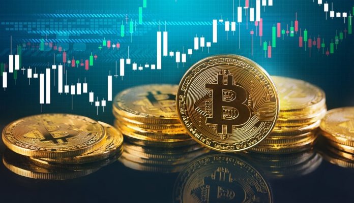 mercado-criptomonedas-bitcoin-estudio